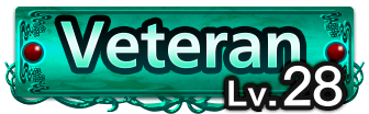 Lv.28 Veteran