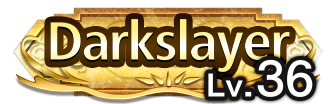 Lv.36 Darkslayer